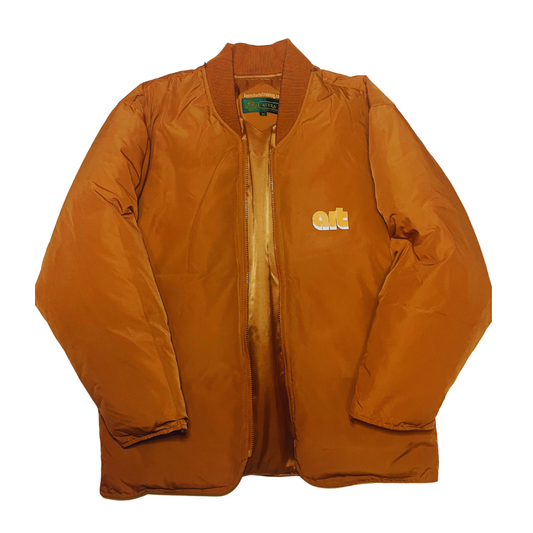 Venus in Janelle Monae (Astra bomber) jacket