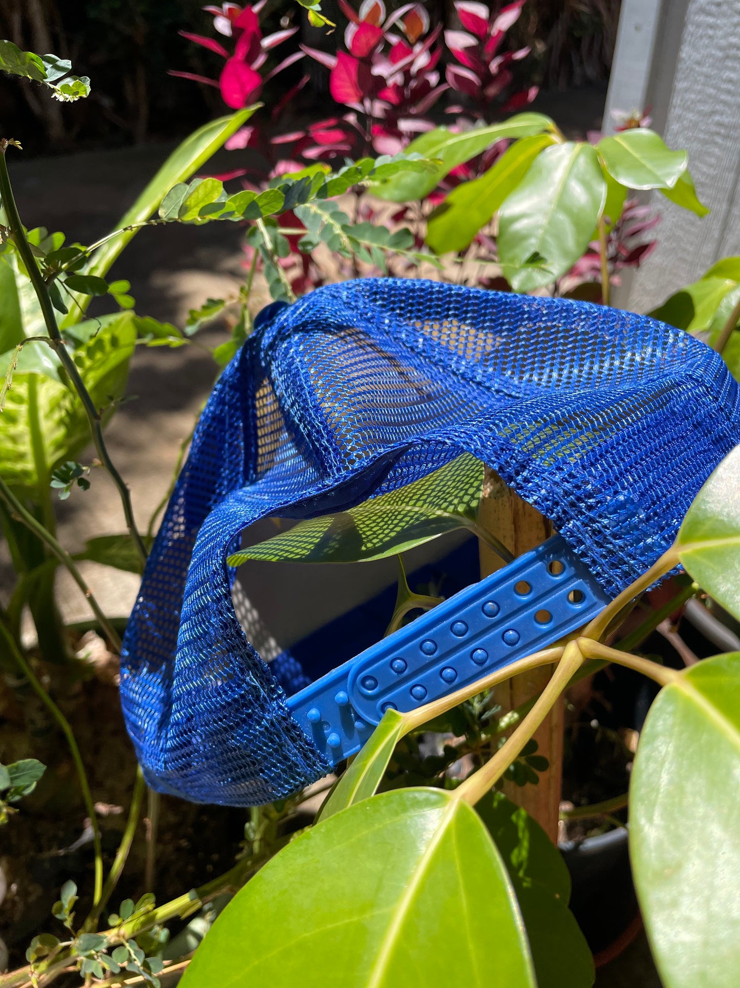 Bakla Hat