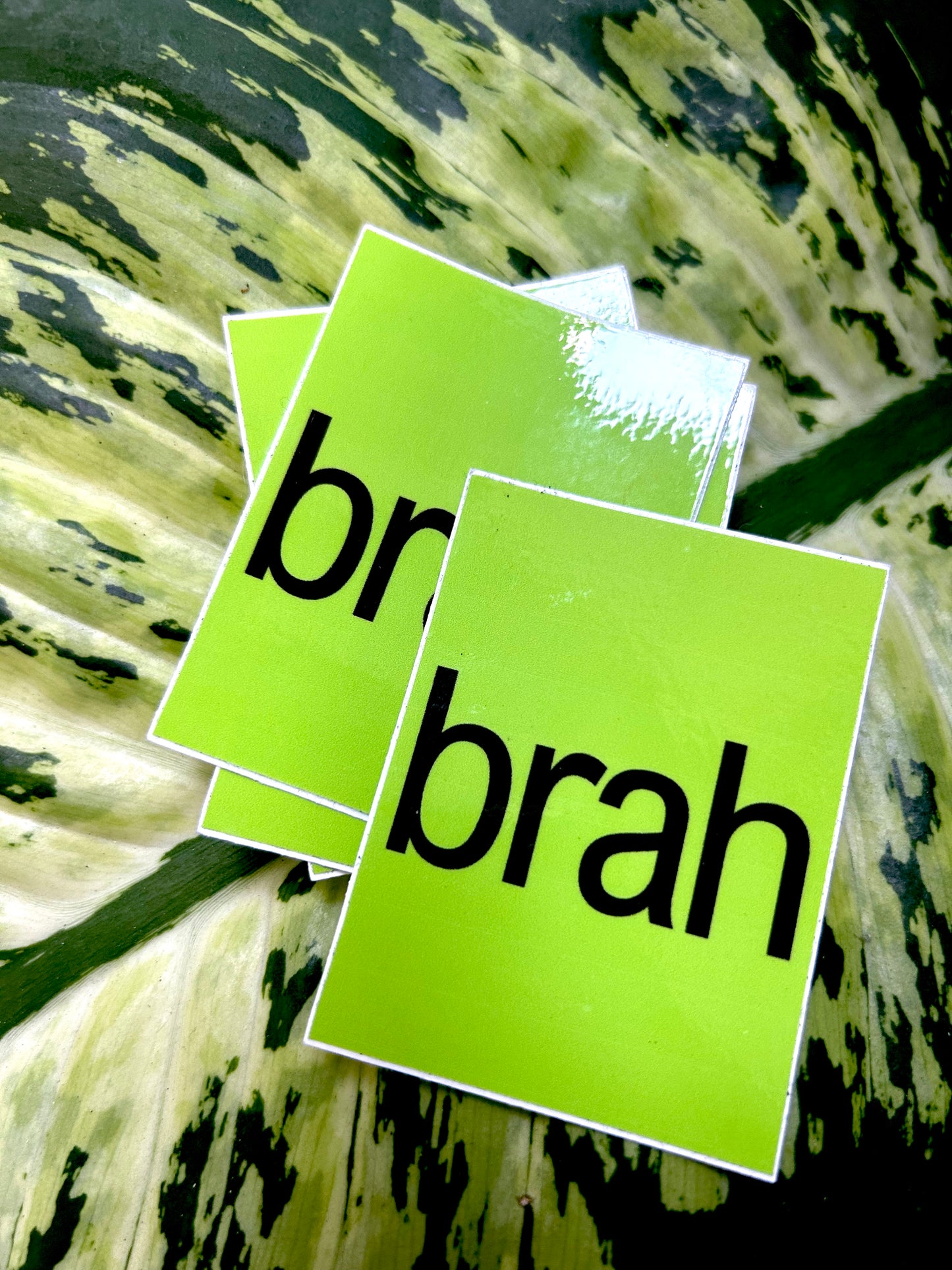 BrahBrat Sticker