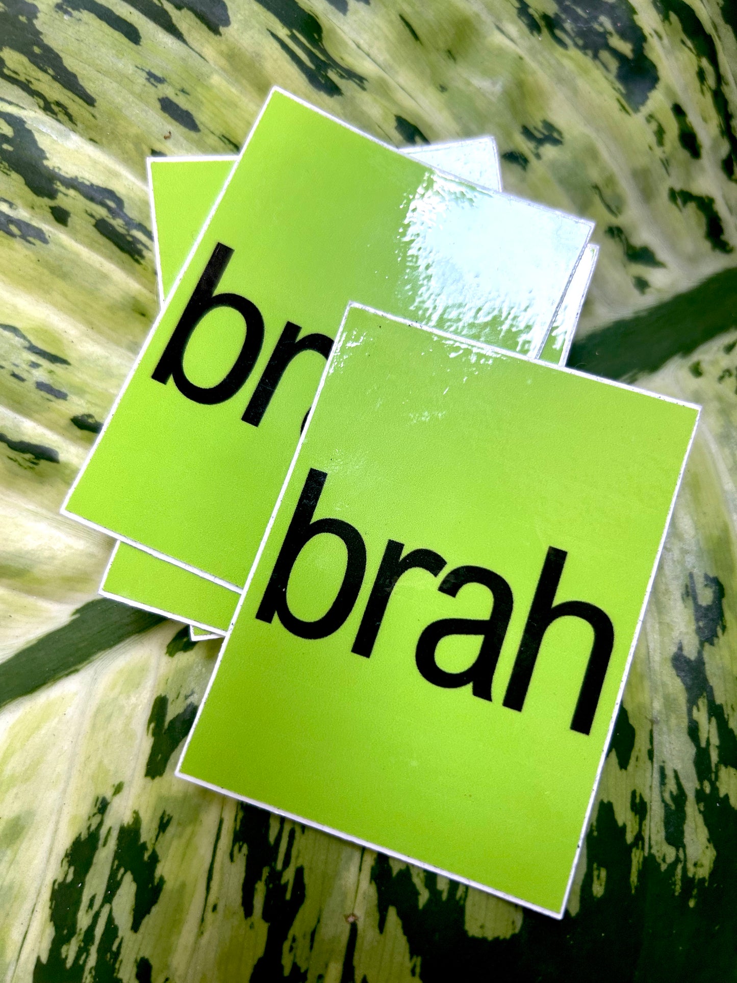 BrahBrat Sticker